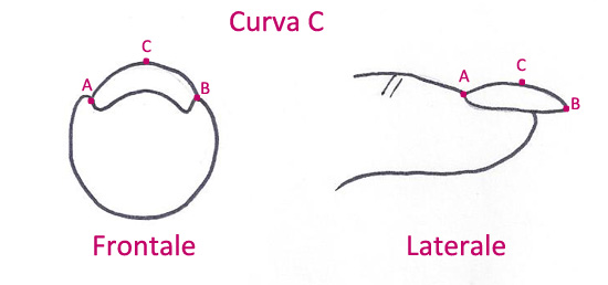 Curvatura C Unghia frontale e laterale